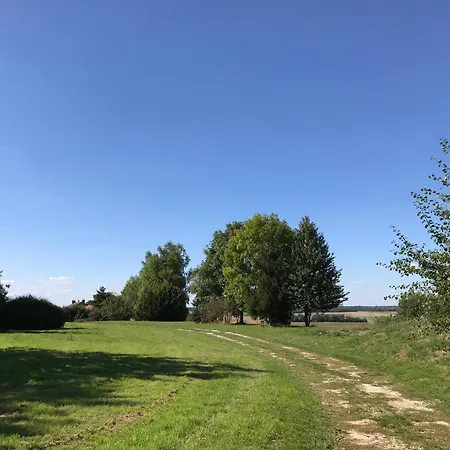 Le Saint Leonard Montceaux-les-Provins